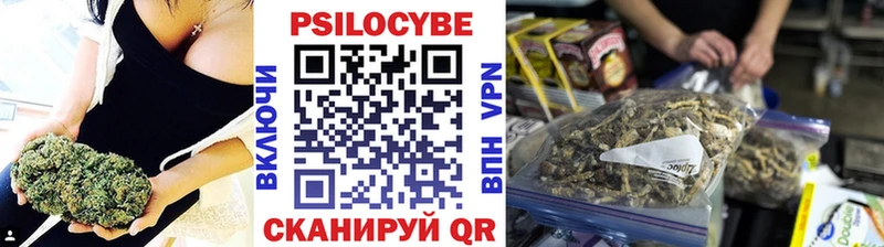 где купить наркоту  Болотное  Галлюциногенные грибы прущие грибы 